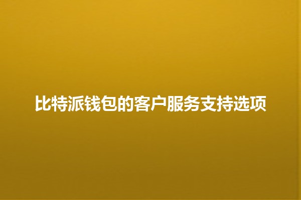 比特派钱包的客户服务支持选项 🚀💰