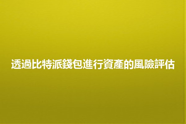 透過比特派錢包進行資產的風險評估💰🔍